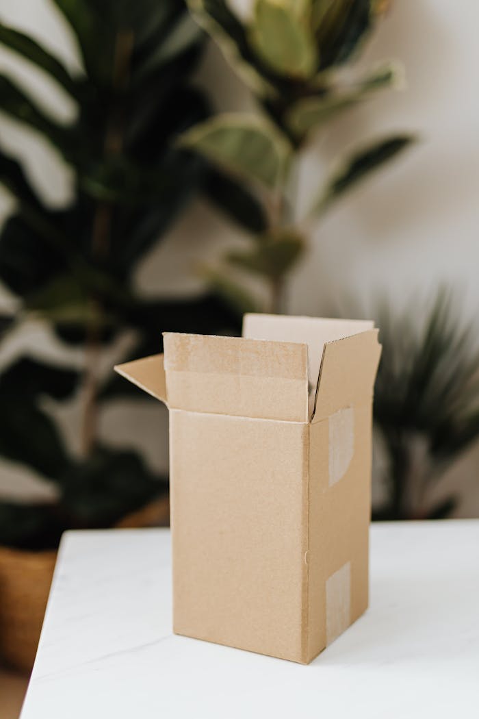 digital An open cardboard box on a white surface with plants in the background indoors.
